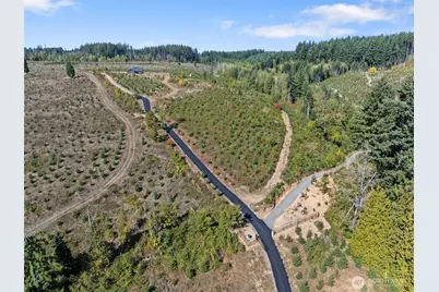 0 Lot 4 Macomber Street W, Chehalis, WA 98532 - Photo 5