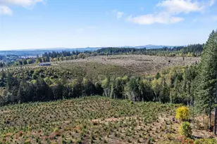 0 Lot 4 Macomber Street W, Chehalis, WA 98532 - Photo 1