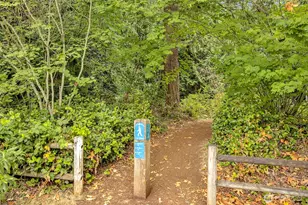 2646 168th Pl NE, Bellevue, WA 98008 - Photo 37