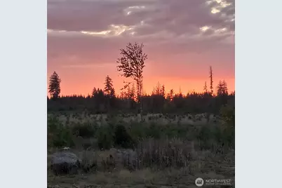 158 Macomber Road W, Chehalis, WA 98532 - Photo 17