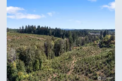 0 Lot 2 Macomber Road W, Chehalis, WA 98532 - Photo 3