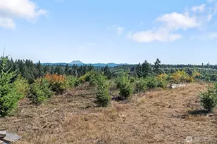 0 Lot 2 Macomber Road W, Chehalis, WA 98532 - Photo 1