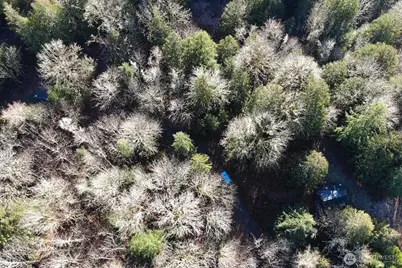 12280 Center Road, Quilcene, WA 98376 - Photo 31