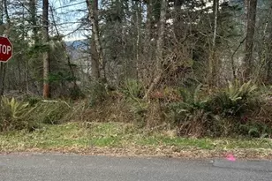 0 SE 166th St, North Bend, WA 98045 - Photo 1