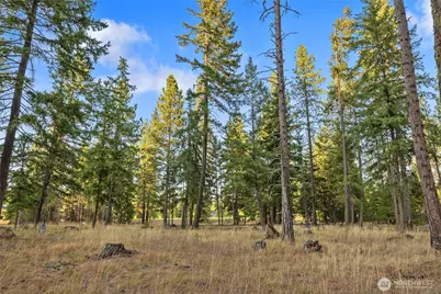 32 Domerie Park Loop, Cle Elum, WA 98922 - Photo 1