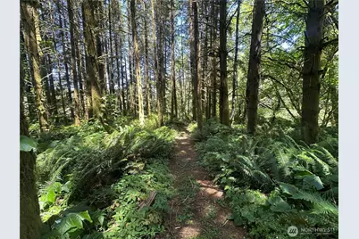 1895 North Fork Road, Chehalis, WA 98532 - Photo 35