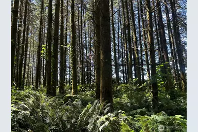 1895 North Fork Road, Chehalis, WA 98532 - Photo 37