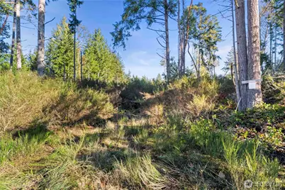 0 E Harstine Island Road S, Shelton, WA 98584 - Photo 3