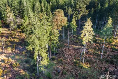 0 E Harstine Island Road S, Shelton, WA 98584 - Photo 7