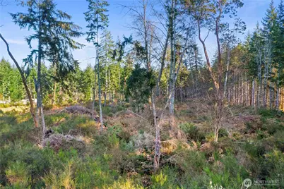 0 E Harstine Island Road S, Shelton, WA 98584 - Photo 5