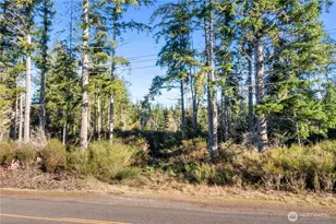 0 E Harstine Island Rd S, Shelton, WA 98584 - Photo 1