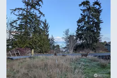 173 Island Vista Way, Port Angeles, WA 98362 - Photo 3