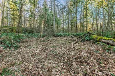 0 Dempsey Lane SW, Olympia, WA 98512 - Photo 13