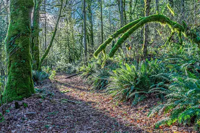 0 Dempsey Lane SW, Olympia, WA 98512 - Photo 15