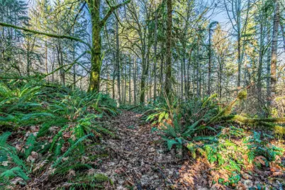 0 Dempsey Lane SW, Olympia, WA 98512 - Photo 9