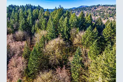 0 Dempsey Lane SW, Olympia, WA 98512 - Photo 1