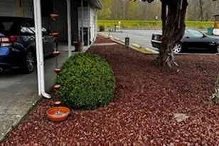 3611 I St NE, Auburn, WA 98002 - Photo 39