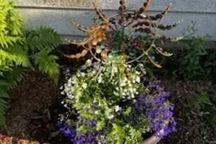 3611 I St NE, Auburn, WA 98002 - Photo 33