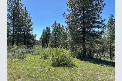 152 High Country Drive E, Tonasket, WA 98855 - Photo 27