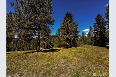 152 High Country Drive E, Tonasket, WA 98855 - Photo 29