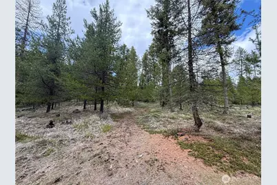 7 Hazel Lane, Republic, WA 99166 - Photo 25