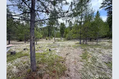 7 Hazel Lane, Republic, WA 99166 - Photo 23