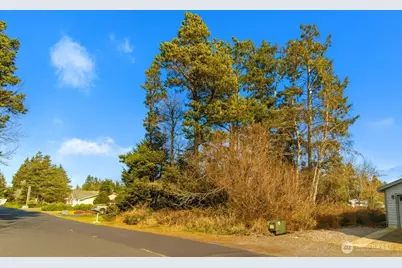 30904 M Place, Ocean Park, WA 98640 - Photo 1