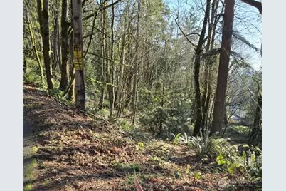 1217 218th Avenue NE, Sammamish, WA 98074 - Photo 1