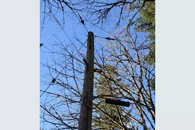 1217 218th Avenue NE, Sammamish, WA 98074 - Photo 15