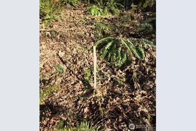 1217 218th Avenue NE, Sammamish, WA 98074 - Photo 9