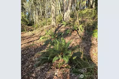 1217 218th Avenue NE, Sammamish, WA 98074 - Photo 11