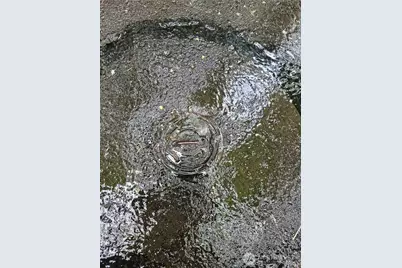 1217 218th Avenue NE, Sammamish, WA 98074 - Photo 13