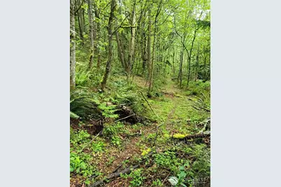 1217 218th Avenue NE, Sammamish, WA 98074 - Photo 5