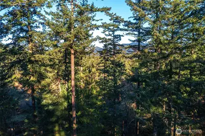 87 Levon Lane, Orcas Island, WA 98243 - Photo 37