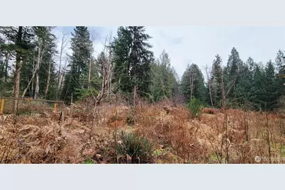 7836 Delphi Road SW, Olympia, WA 98512 - Photo 9