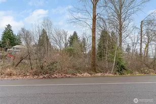 0 17Xxx 172nd Ave E, Renton, WA 98059 - Photo 1
