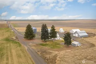 33540 Manke Road E, Harrington, WA 99134 - Photo 29