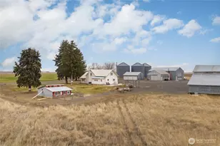 33540 Manke Road E, Harrington, WA 99134 - Photo 31