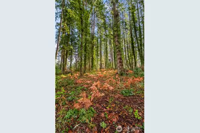 8617 86th Avenue NW, Gig Harbor, WA 98332 - Photo 11