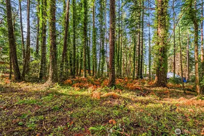 8617 86th Avenue NW, Gig Harbor, WA 98332 - Photo 7