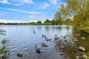 7439 Latona Ave NE, Seattle, WA 98115 - Photo 29