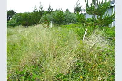 32307 H Place, Ocean Park, WA 98640 - Photo 5