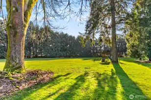 3102 60th Loop SE, Olympia, WA 98501 - Photo 37