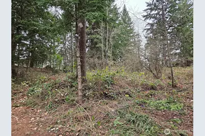 19100 106th Street Ct E, Bonney Lake, WA 98391 - Photo 1