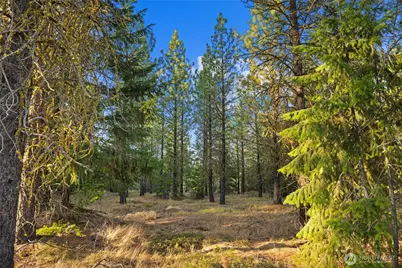 131 Gold Leaf Lane, Cle Elum, WA 98922 - Photo 1