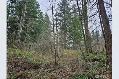 19101 106th Street Ct E, Bonney Lake, WA 98391 - Photo 1