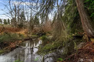 710 Z St SE, Tumwater, WA 98501 - Photo 37