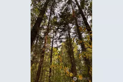 0 Chuckawa Lane SW, Yelm, WA 98597 - Photo 1