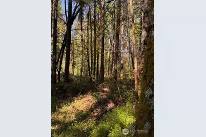 0 Chuckawa Lane SW, Yelm, WA 98597 - Photo 3