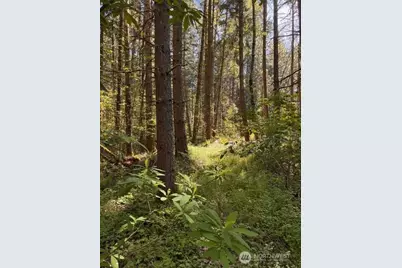 0 Chuckawa Lane SW, Yelm, WA 98597 - Photo 1